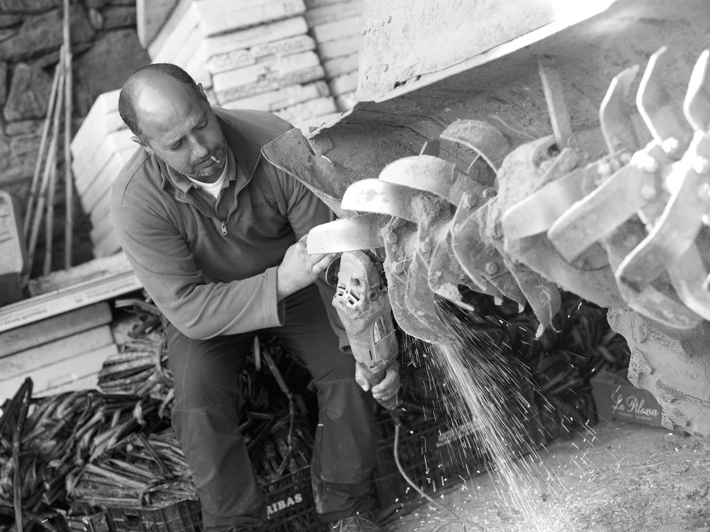 La Taiadella 4, 2017